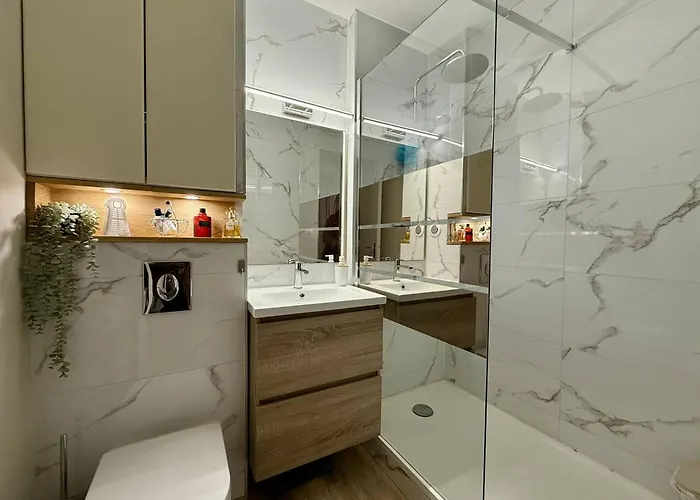 Renove A 350m De La Plage, * Arcachon